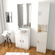 Ensemble de salle de bain blanc 60cm + vasque en céramique blanche + miroir LED + colonne 2 portes - THRIFTY Aurlane - PACM001