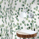 Papier peint eucalyptus - EUCALYPTO++