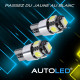 Pack p46 4 ampoules led canbus anti-erreur / t10 (w5w) 5 leds + navette c5w 31mm 2 leds autoled® 