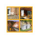 Pack traitement et protection sika - sikagard-120 stop vert 20l - sikagard-221 protecteur facade 20l 