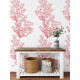 Papier peint corail rouge - CORALLO ROSSO++