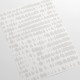 Papier peint moderne blanc et gris - QUEEN NUDE++ 