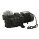 Pompe pour piscine 1900 w