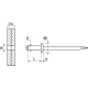 Rivet aveugle tête plate inox A2 - Ø 4 x 18 mm - Boite de 500 - ACTON - 627204X18 
