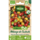 Sachet de graines de tomates cerises bio vilmorin: couleurs et saveurs en mélange