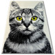 Tapis bcf flash 33319/160 - chat - Dimension au choix