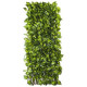 Treillis osier 1 x 2 m feuilles vertes-jaunes
