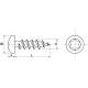 Vis à bois aggloméré tête cylindrique bombée 6 lobes internes A2 - Ø 5 X 50 - Boîte de 100 - ACTON - 623185X50 