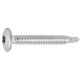 Vis penture autoperceuses tête ronde torx acier zingué blanc entièrement filetées, ø 4,8 mm x l 50,8 mm, boîte de 250