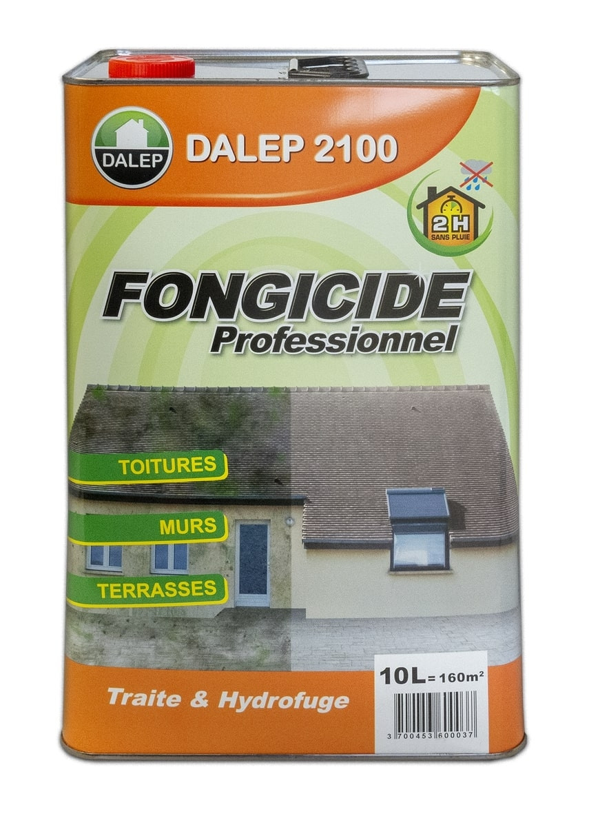 Dalep Antimousse Et Fongicide Professionnel Concentre 2100 Bidon De 10 Litres 121 010 Distriartisan Vidéo embellir et décorer le bois dalep. antimousse et fongicide professionnel concentre dalep 2100 bidon de 10 litres 121 010