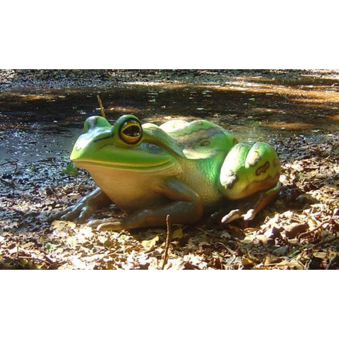 Grenouille en résine 34 cm
