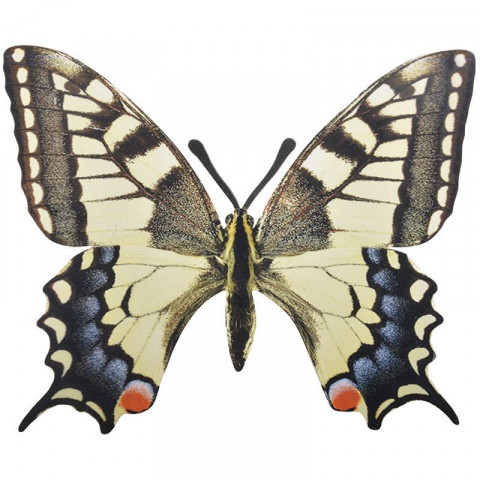 Décoration murale papillon (lot de 2)