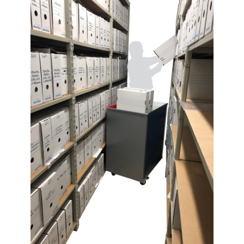 Chariot niveau constant beeplast - Dimension au choix