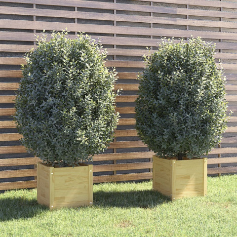 Jardinières d'extérieur 2 pcs 40x40x40 cm bois de pin massif - Couleur au choix