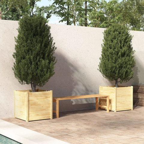 Jardinières 2 pcs 60x60x60 cm bois de pin massif - Couleur au choix