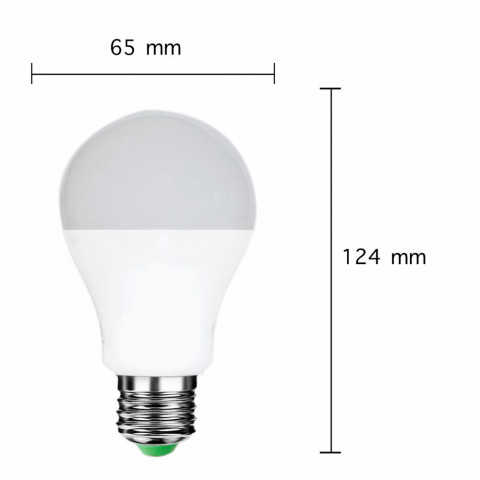 Ampoule led e27 a65 12w 220v 180 - couleur eclairage au choix