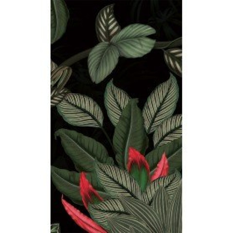 Plaques panoramique - dimensions & coloris aux choix