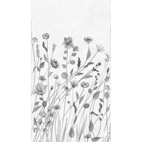 Plaques panoramique - dimensions & coloris aux choix