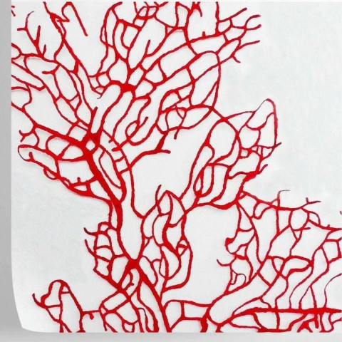 Papier peint corail rouge - CORALLO ROSSO++