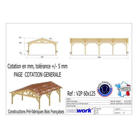 Abri deux pentes, 600cmx1250cm, bois douglas francais, carport, auvent, abri voiture, cpbf-v2p600x1250