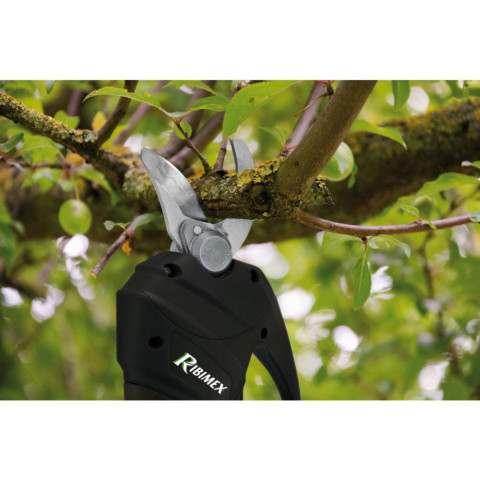 Acheter Sécateur électrique sans fil, sécateur de branches d'arbre alimenté  par batterie avec balais