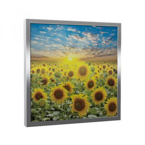 Sunbox G Flowers – Cadre Noir (600x600x300)
