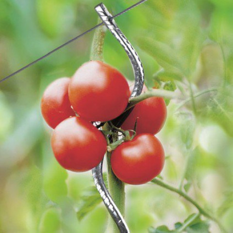 ose tuteur a tomate avec chas par 5 gris distriartisan